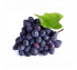 Fresho Grapes – Bangalore Blue With Seed