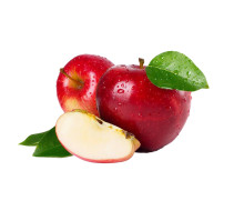 Fresh Nooelec Seeds India E Garden Apple