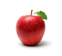 Fresh Nooelec Seeds India E Garden Apple